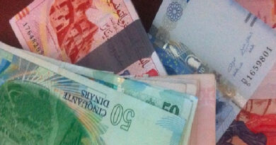 Salaires : hausses plus généreuses dans la fonction publique, selon Hafedh Laamouri