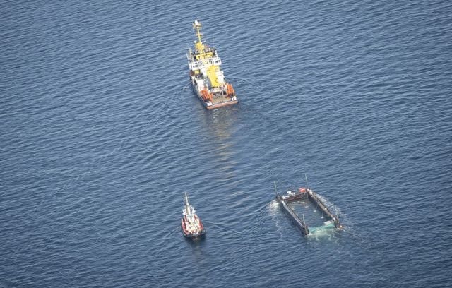 Sauvetage impressionnant de la baleine « Timmy », échouée en Allemagne depuis mars