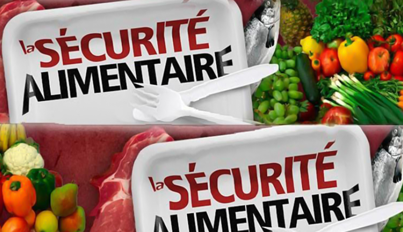 Sécurité alimentaire : la Tunisie soumet des propositions au MED9++ à Rome
