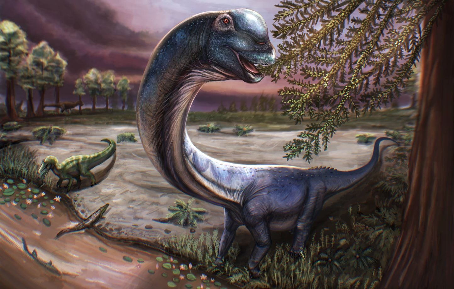 Thaïlande : Un nagatitan plus grand que le diplodocus découvert.