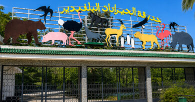 Tunis : accès gratuit au zoo du Belvédère lors de sa réouverture