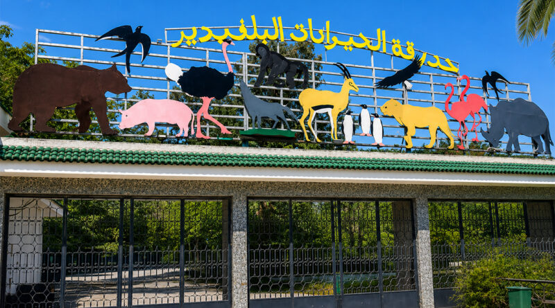 Tunis : accès gratuit au zoo du Belvédère lors de sa réouverture