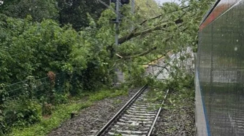 Uccle : un arbre tombe sur un train, évacuation terminée, pas de blessés