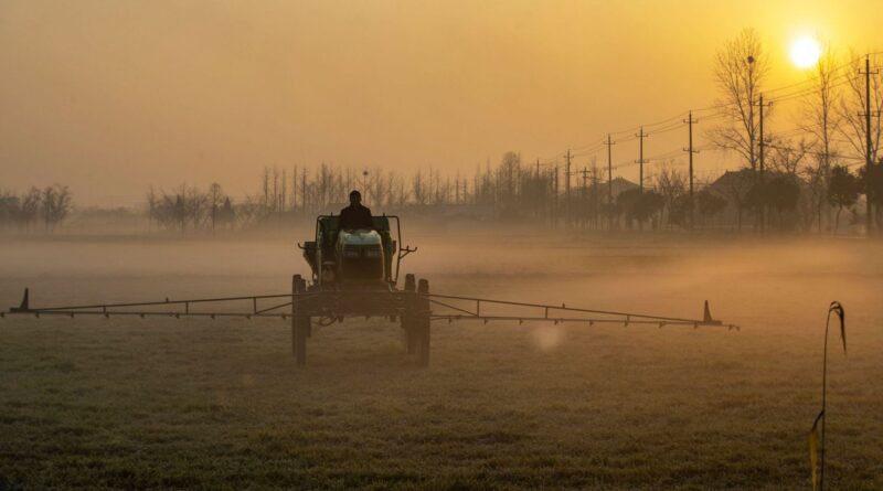 Un pesticide OGM autorisé en Belgique soulève des inquiétudes.