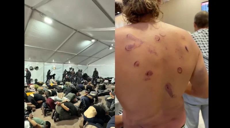 "Une activiste liégeoise raconte des viols et violences graves à Gaza"