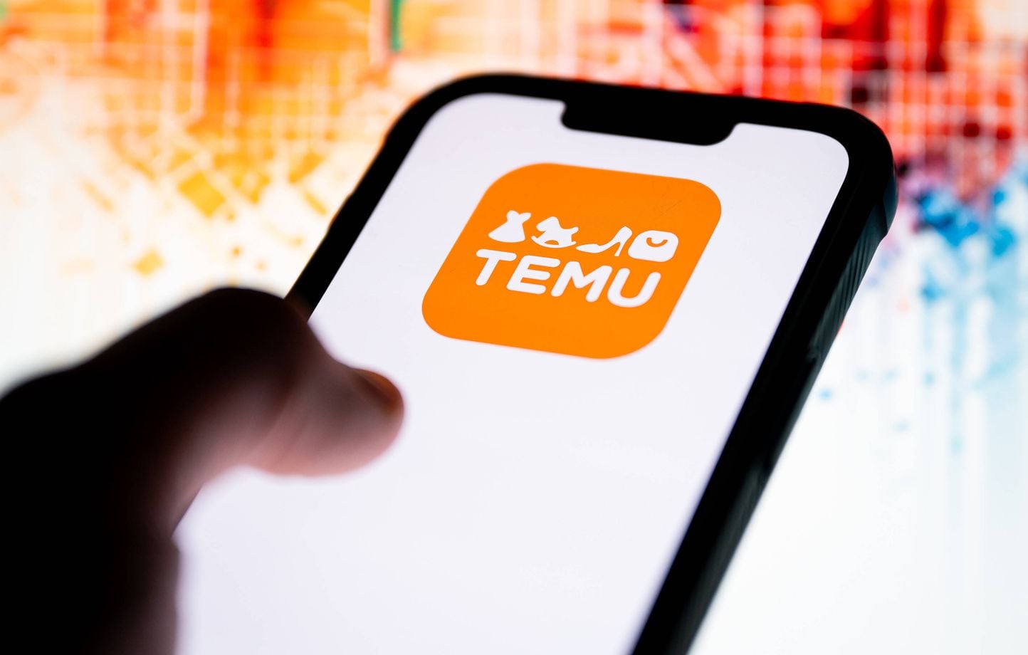 Viande humaine mise en vente sur Temu : quelle histoire ?