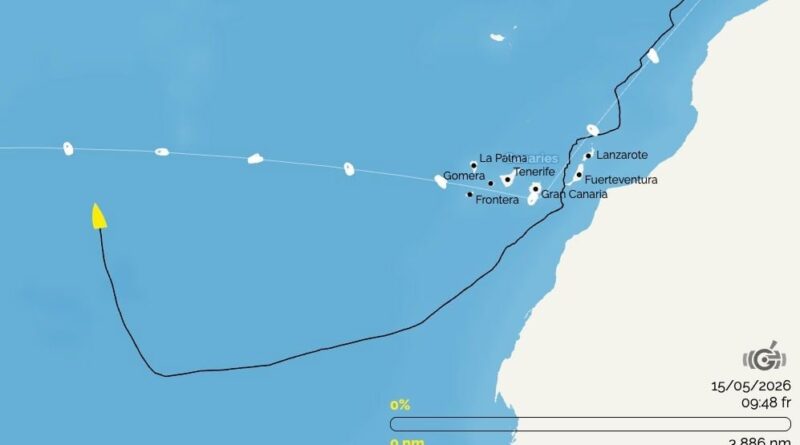Voile : Un skipper en détresse après collision avec une baleine