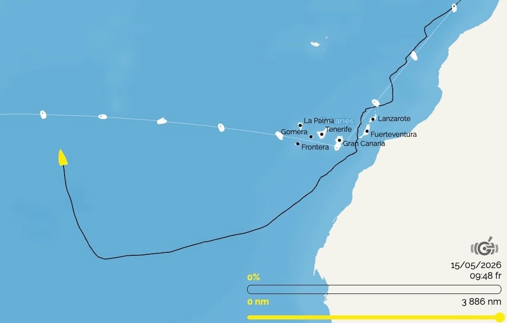 Voile : Un skipper en détresse après collision avec une baleine