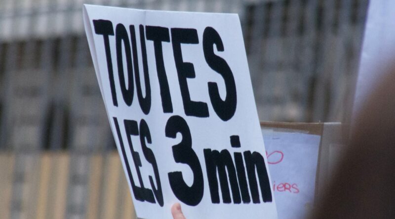 1.700 personnes dans les rues de Paris pour Lyhanna : « Peines inutiles, les pédo-filent »