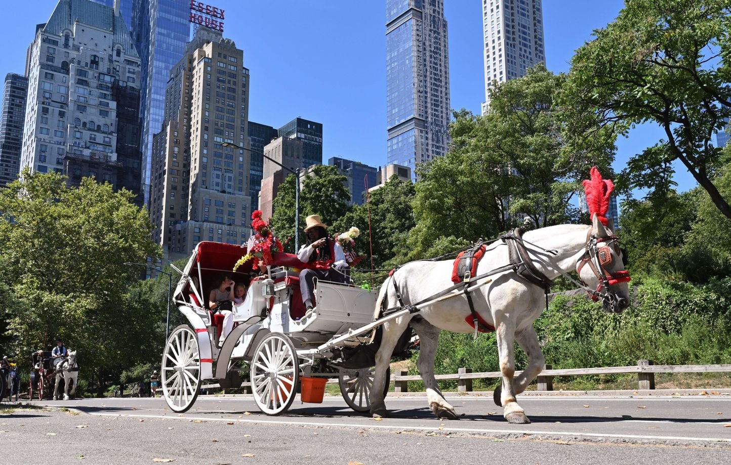 Accident de calèche à Central Park : un jeune homme meurt.