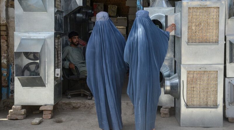 Afghanistan : Augmentation des arrestations de femmes par la police des mœurs