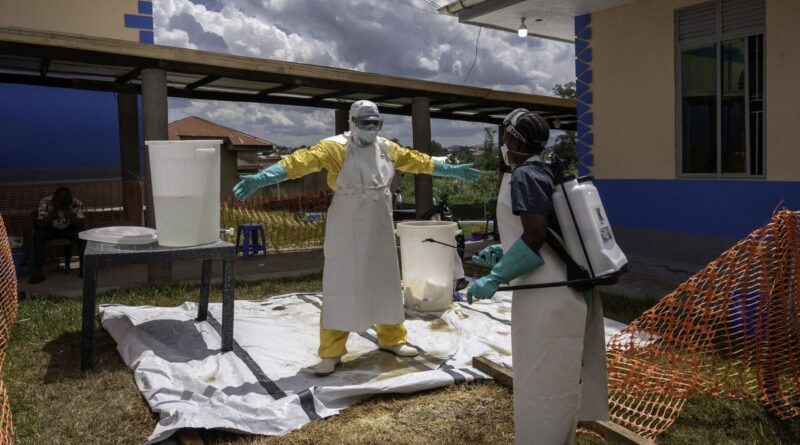 Afrique centrale : près de 500 cas d'Ebola confirmés par l'OMS