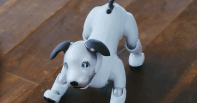 Aibo, le chien robot de Sony, ne dit plus au revoir.