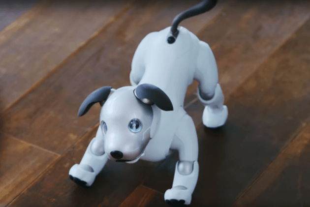 Aibo, le chien robot de Sony, ne dit plus au revoir.