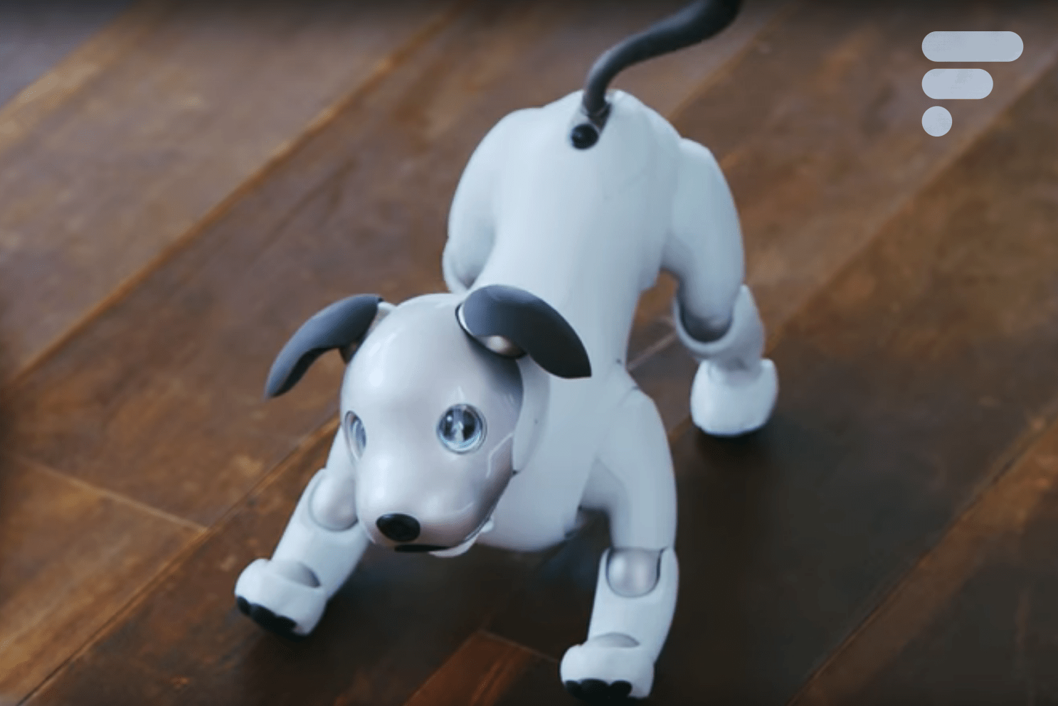 Le chien robot Aibo de Sony