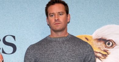 Armie Hammer revient avec un film déjà polémique en Allemagne.