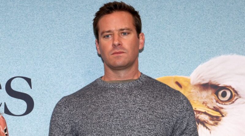 Armie Hammer revient avec un film déjà polémique en Allemagne.