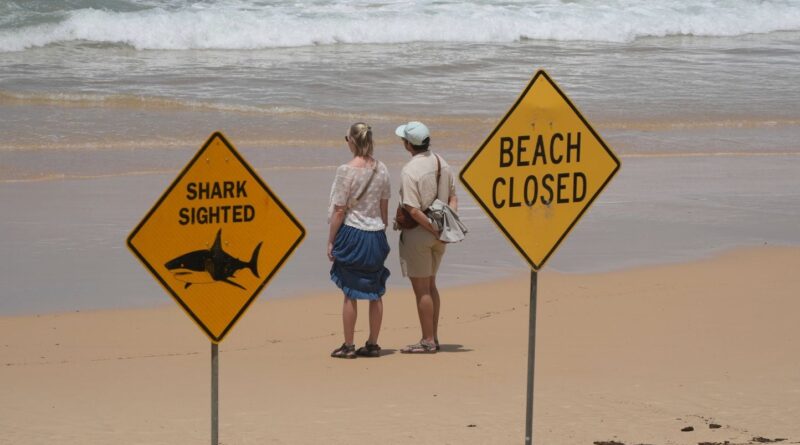 Australie : Quatrième attaque mortelle de requin en 2023, un plongeur tué.