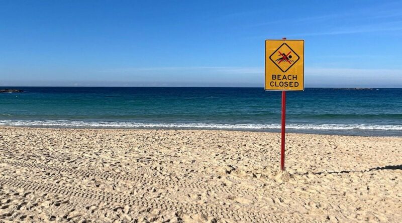 Australie : Une nageuse gravement blessée par une morsure de requin