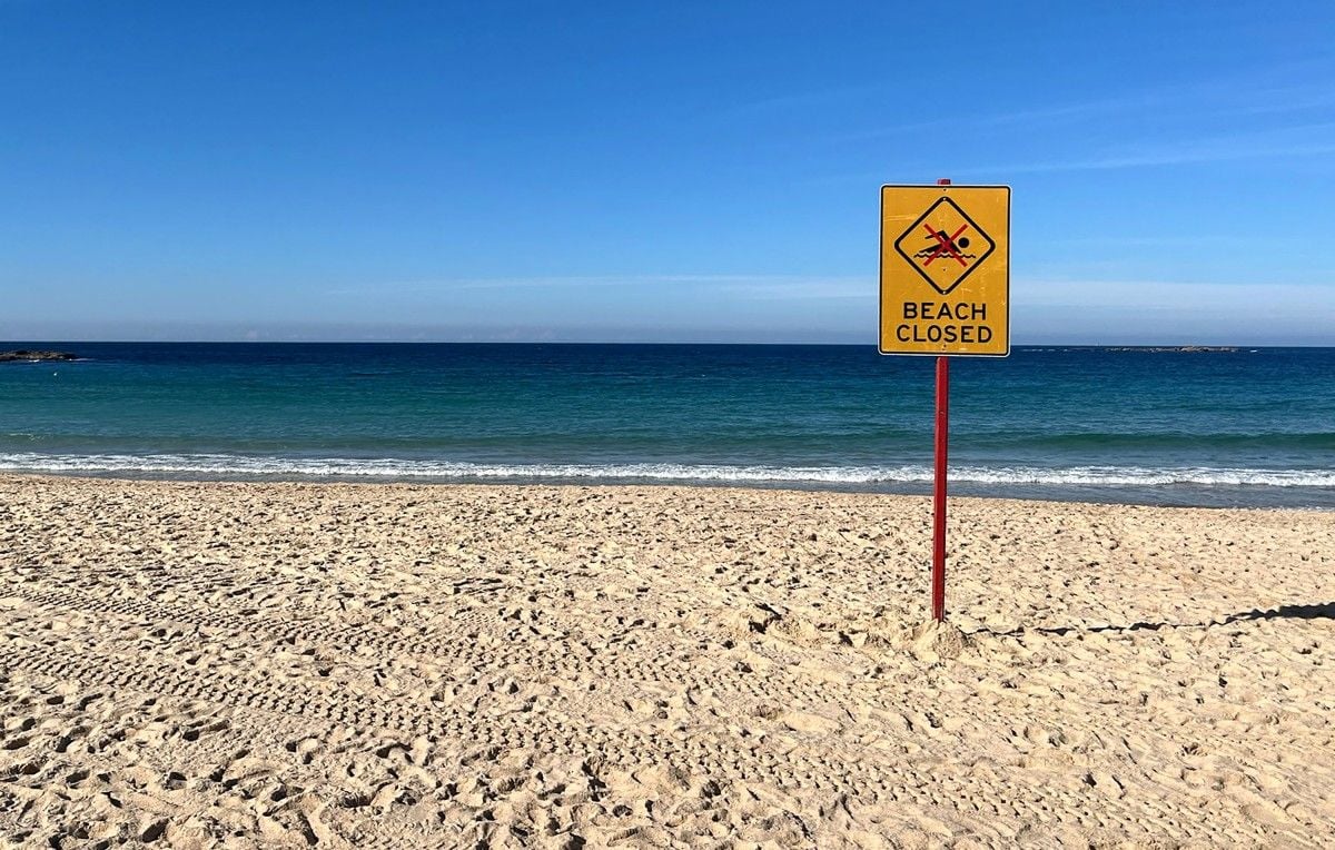 Australie : Une nageuse gravement blessée par une morsure de requin