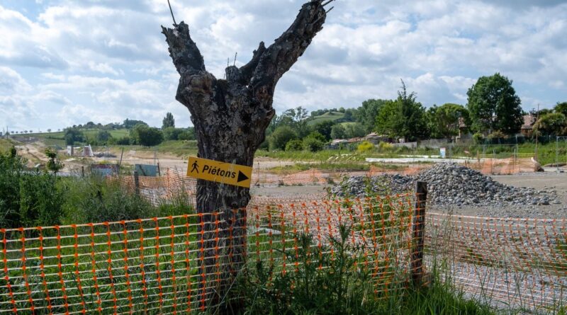 Autoroute A69 : Le Conseil d'État lève le dernier obstacle environnemental.
