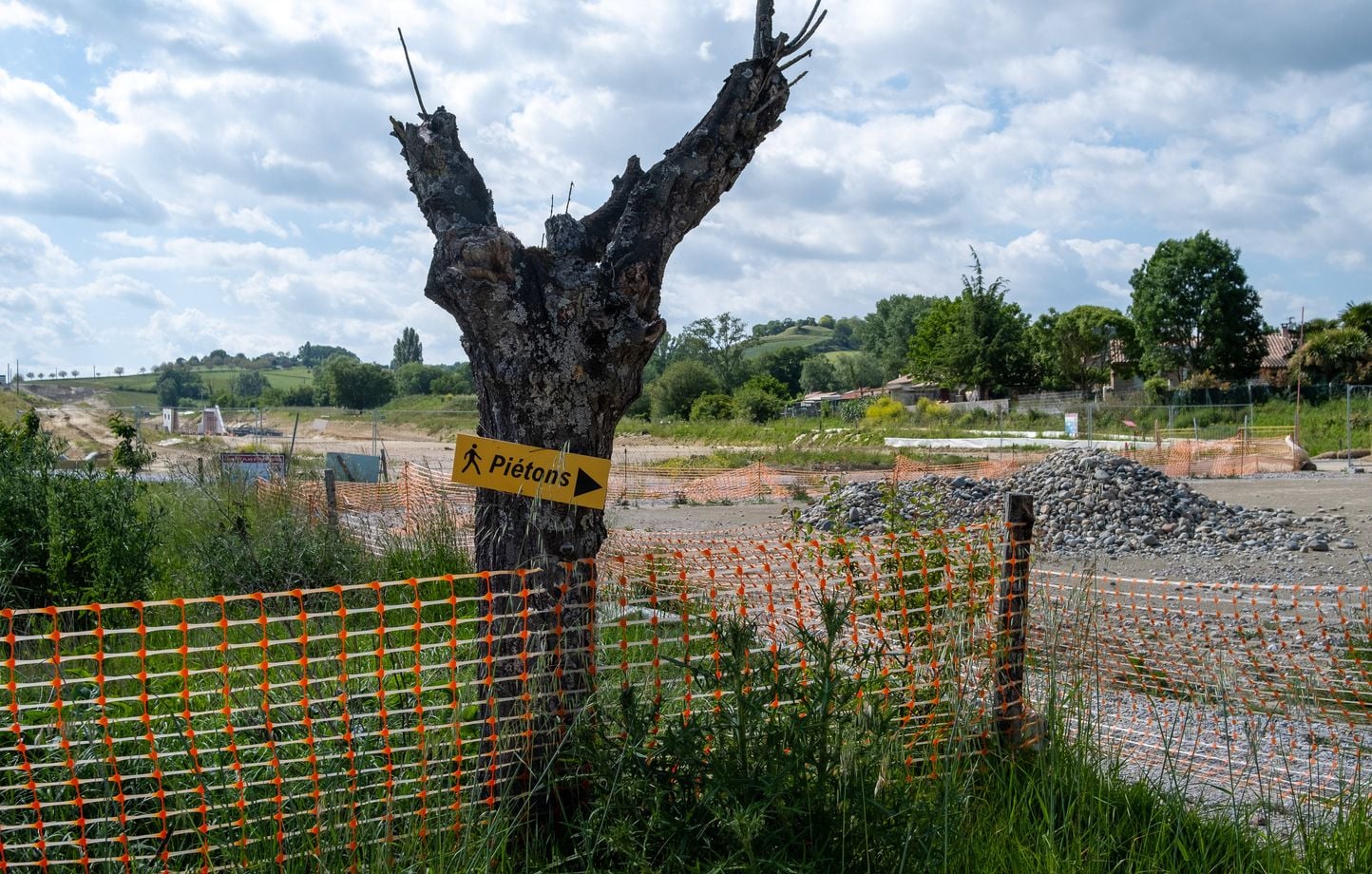 Autoroute A69 : Le Conseil d'État lève le dernier obstacle environnemental.