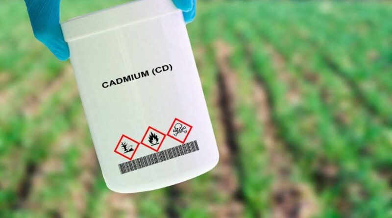 Cadmium : Qui ne bénéficiera pas du dépistage remboursé dès mardi ?