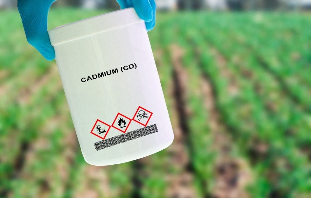Cadmium : Qui ne bénéficiera pas du dépistage remboursé dès mardi ?