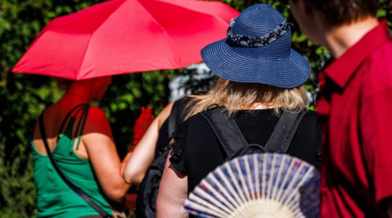 Canicule : 37 départements en rouge samedi, fin du pic se rapproche