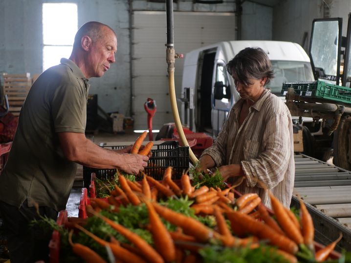 Eric et Dominique Bocel travaillent dans un hangar aux heures les plus chaudes, notamment pour trier et préparer les légumes. 