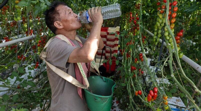 Canicule : 61 départements en vigilance rouge, 41 °C dans l'est.
