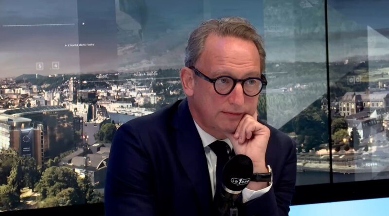 Canicule à Bruxelles : Boris Dilliès recommande de planter un arbre.