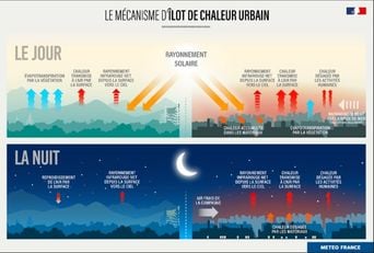 Canicule : Comprendre l'îlot de chaleur urbain à Paris.