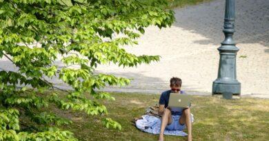 Canicule : la facture pour l'économie belge explose.