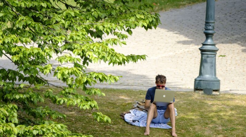 Canicule : la facture pour l'économie belge explose.