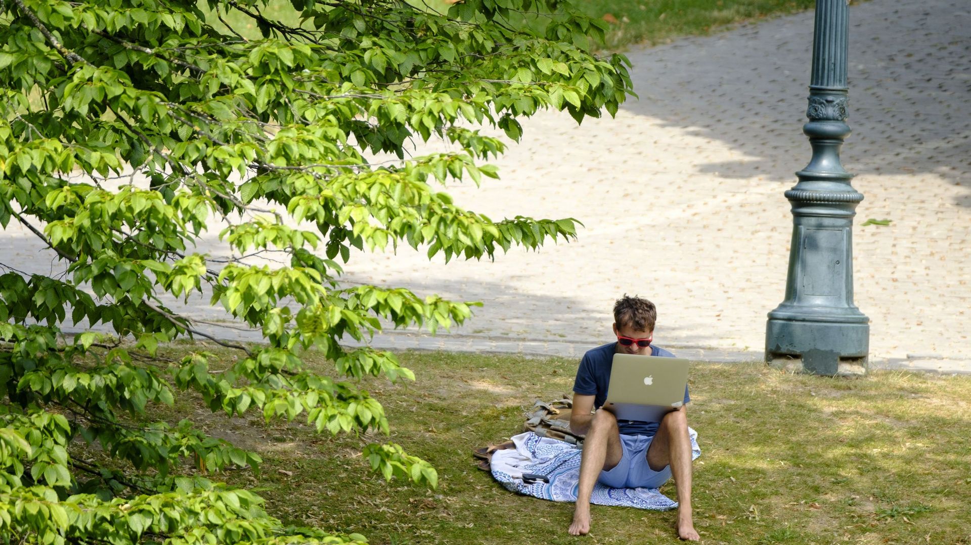 Canicule : la facture pour l'économie belge explose.