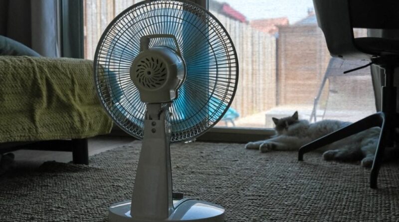 Canicule : Les vagues de chaleur ne sont pas sans impact économique.