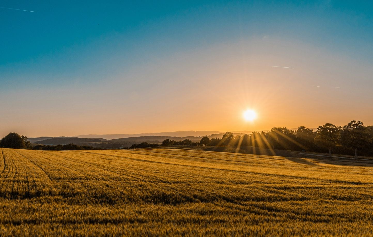 Canicule : Record absolu de +17°C par rapport aux normales en France