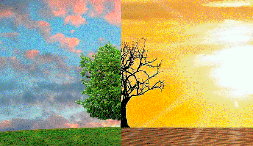 Canicules répétées : la Tunisie face à une nouvelle réalité climatique