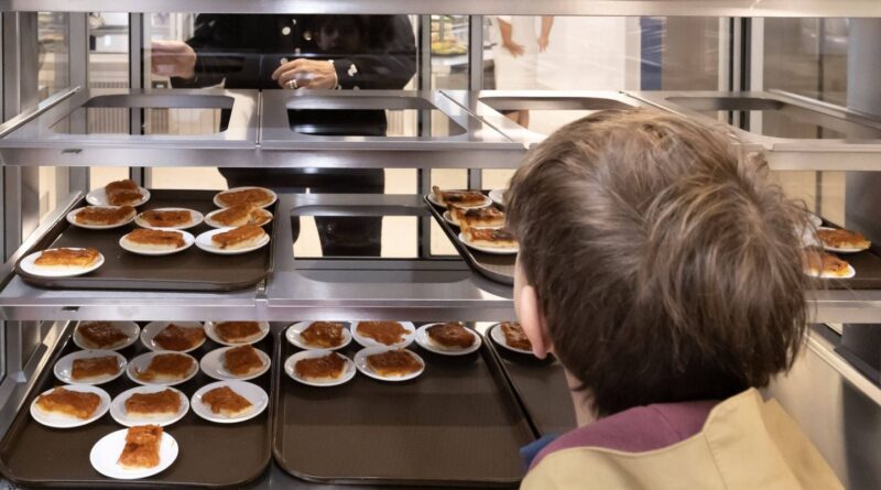 Cantines scolaires : Proposition de loi visant à interdire la vaisselle plastique