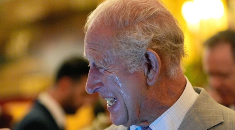 Charles III : 35 millions d'euros d'impôt, d'où viennent les revenus ?