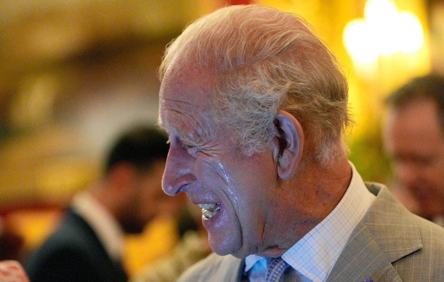 Charles III : 35 millions d'euros d'impôt, d'où viennent les revenus ?
