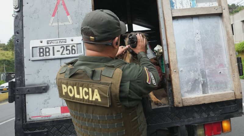 Colombie : Arrestation d'un tueur à gages pour l'assassinat d'un journaliste