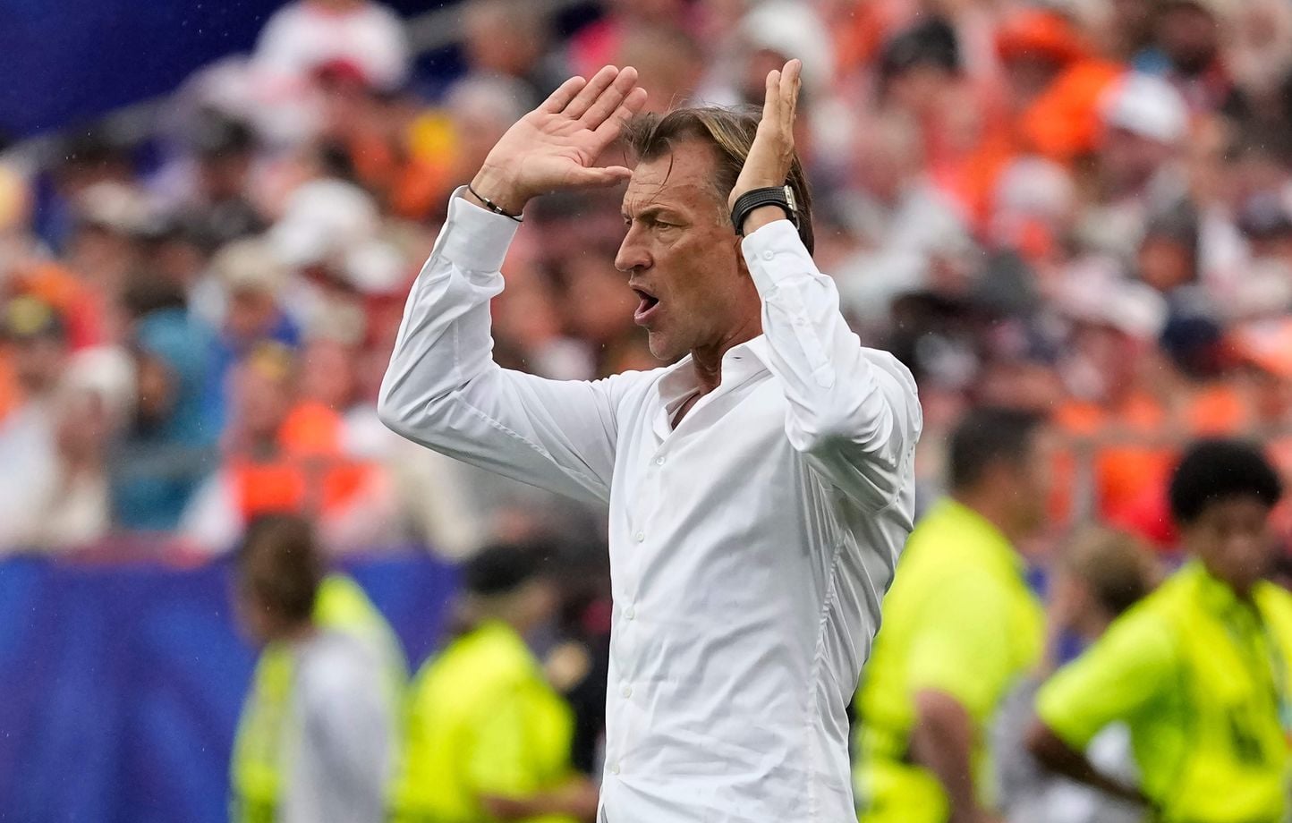 Coupe du monde 2026 : Les Pays-Bas ne rencontrent pas le Brésil, Hervé Renard déçu.