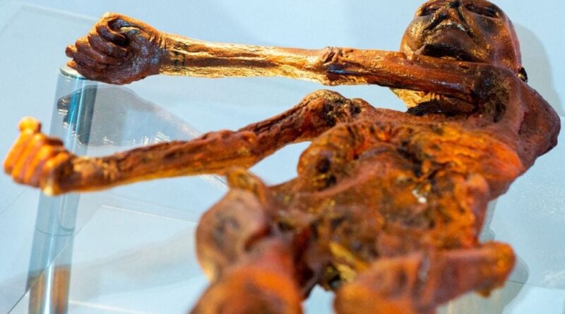Des chercheurs trouvent de la levure dans les intestins d’Ötzi.