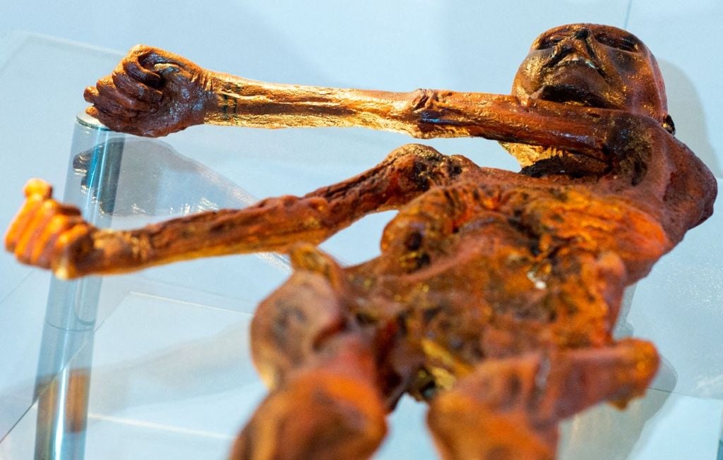 Des chercheurs trouvent de la levure dans les intestins d’Ötzi.