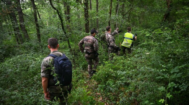 Disparition de Lyhanna : des bénévoles en quête dans les bois.