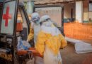 Ebola : isolement strict pour le premier patient positif en France ?