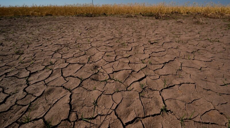 El Niño pourrait revenir cet été : explications sur le phénomène