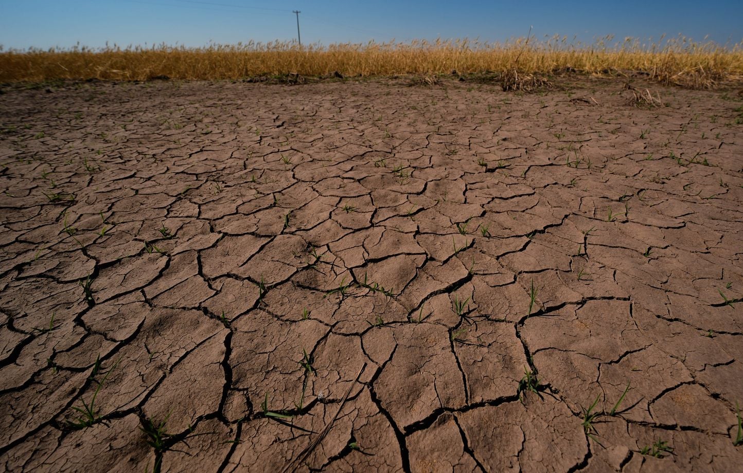 El Niño pourrait revenir cet été : explications sur le phénomène